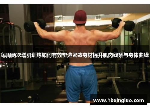 每周两次增肌训练如何有效塑造紧致身材提升肌肉线条与身体曲线