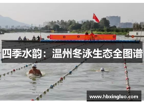 四季水韵：温州冬泳生态全图谱