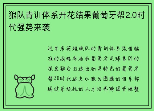 狼队青训体系开花结果葡萄牙帮2.0时代强势来袭